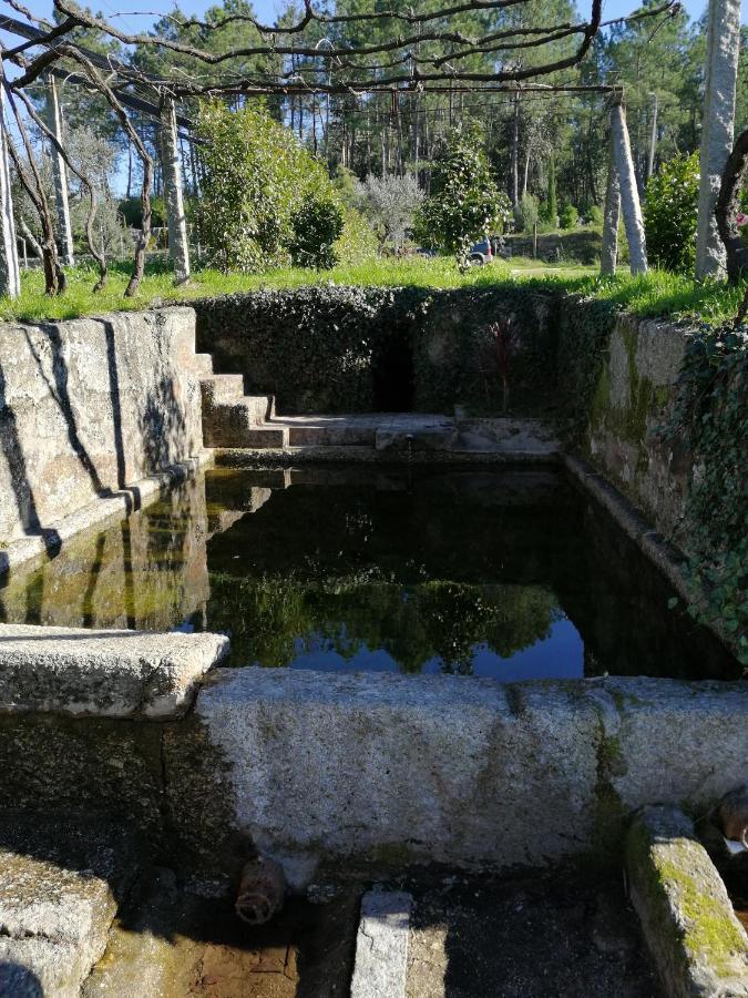 הוילה אמרנטה Quinta Do Santinho מראה חיצוני תמונה
