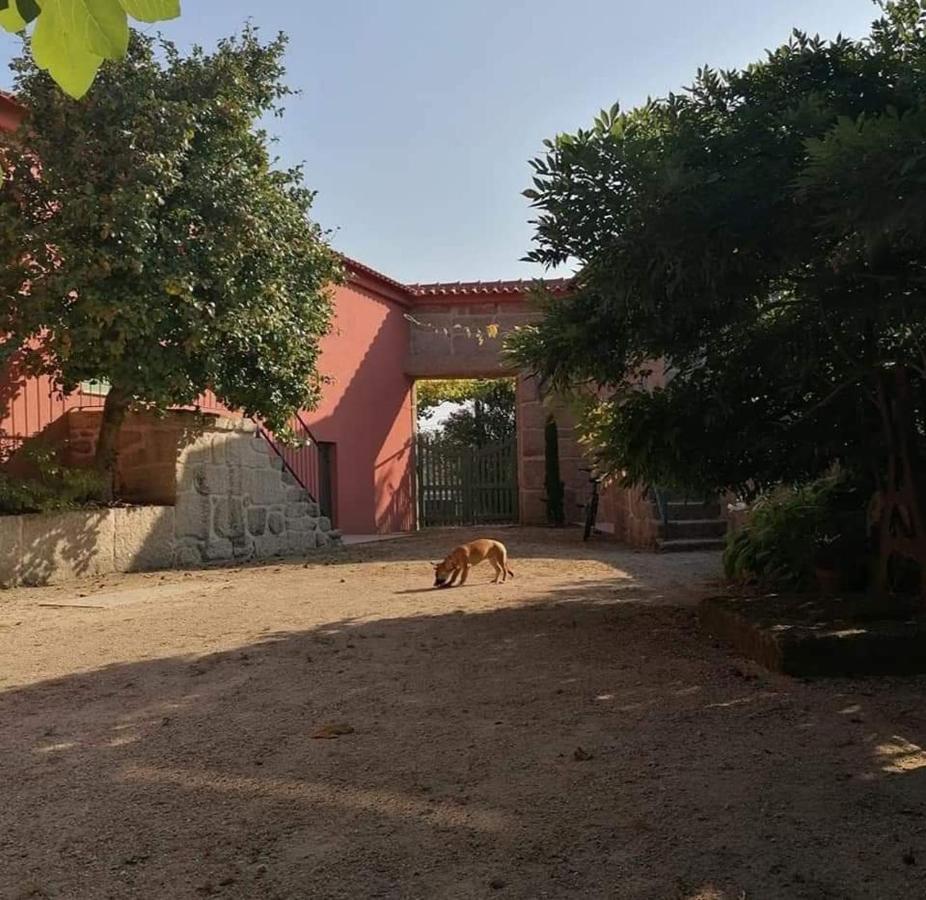 הוילה אמרנטה Quinta Do Santinho מראה חיצוני תמונה