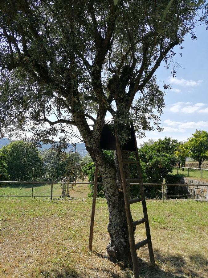 הוילה אמרנטה Quinta Do Santinho מראה חיצוני תמונה