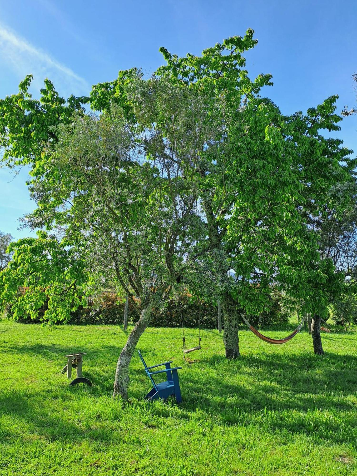 הוילה אמרנטה Quinta Do Santinho מראה חיצוני תמונה